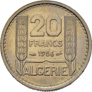 Immagine rovescio