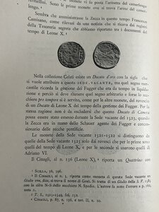 Immagine rovescio