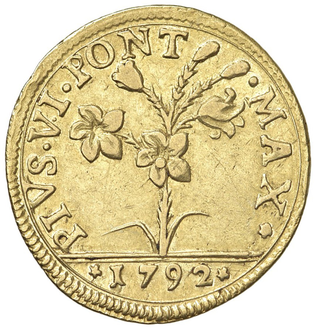Dritto moneta