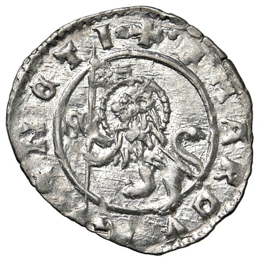 Rovescio moneta