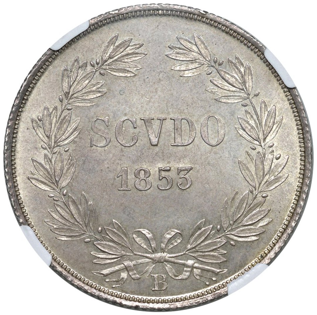 Rovescio moneta