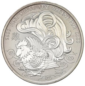 Immagine rovescio