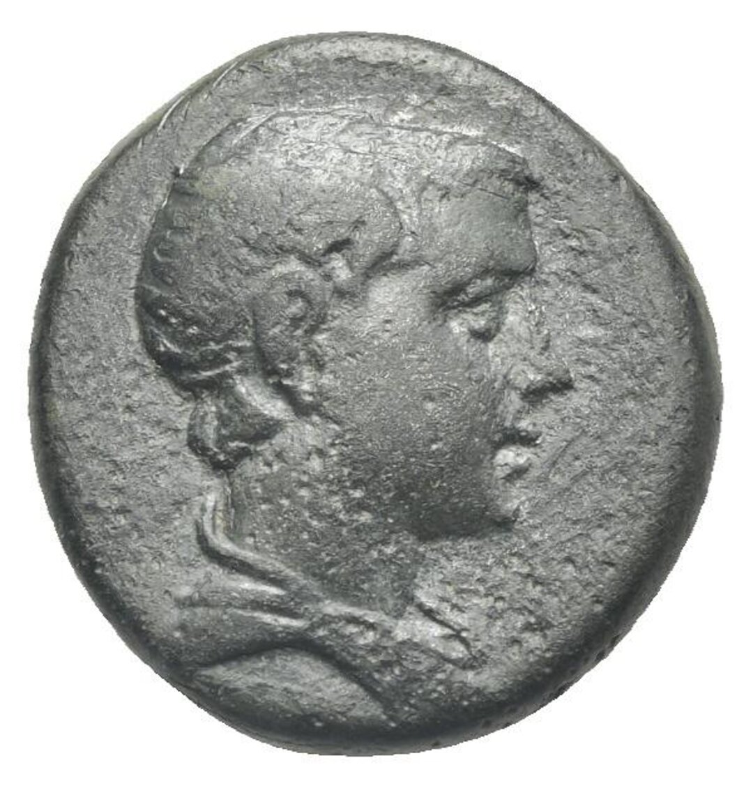 Dritto moneta