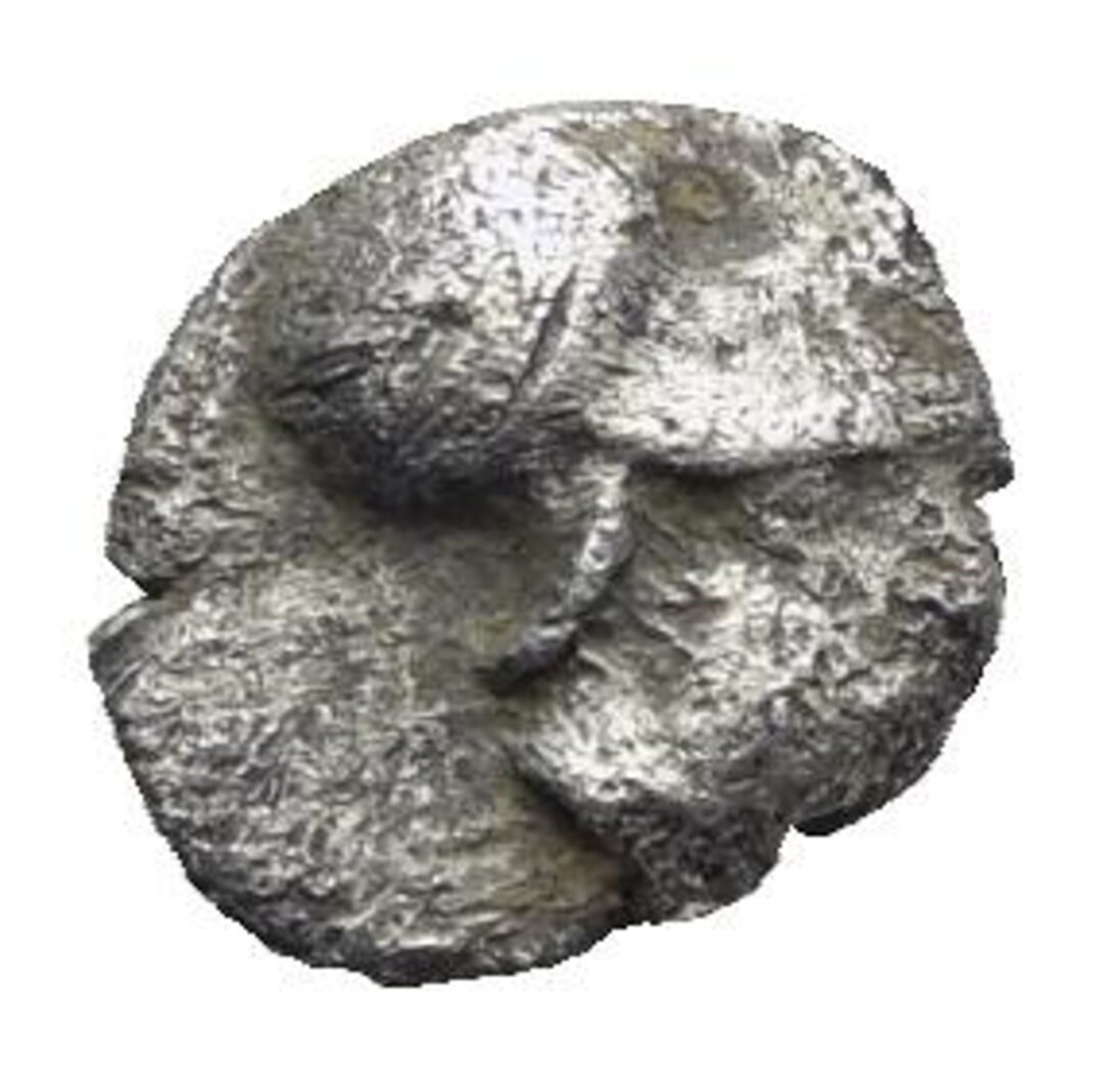 Dritto moneta