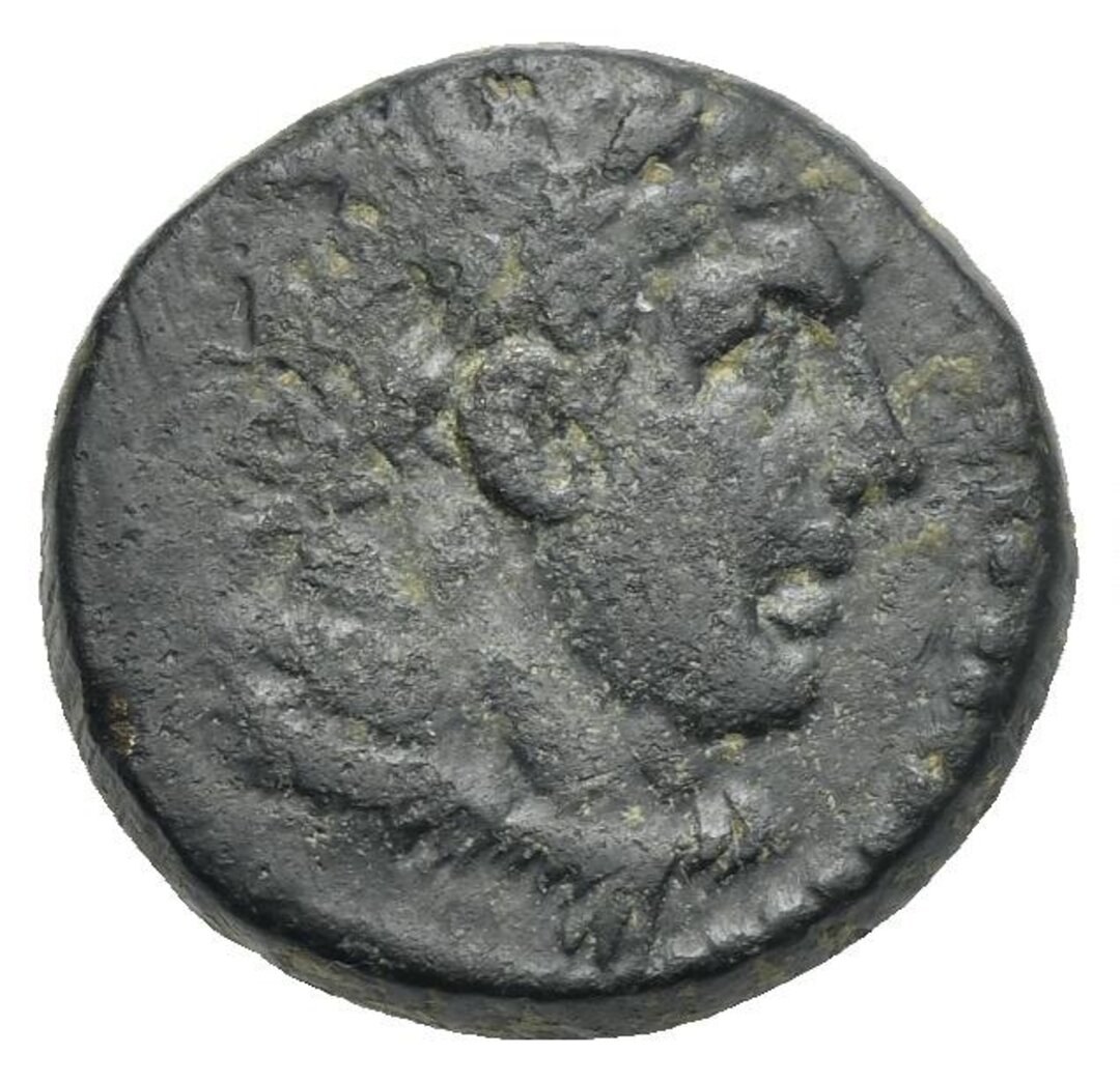 Dritto moneta