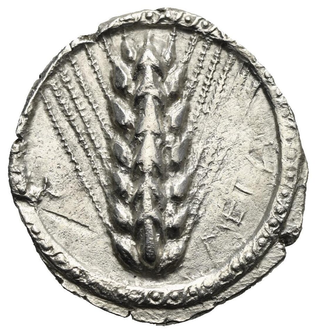 Dritto moneta