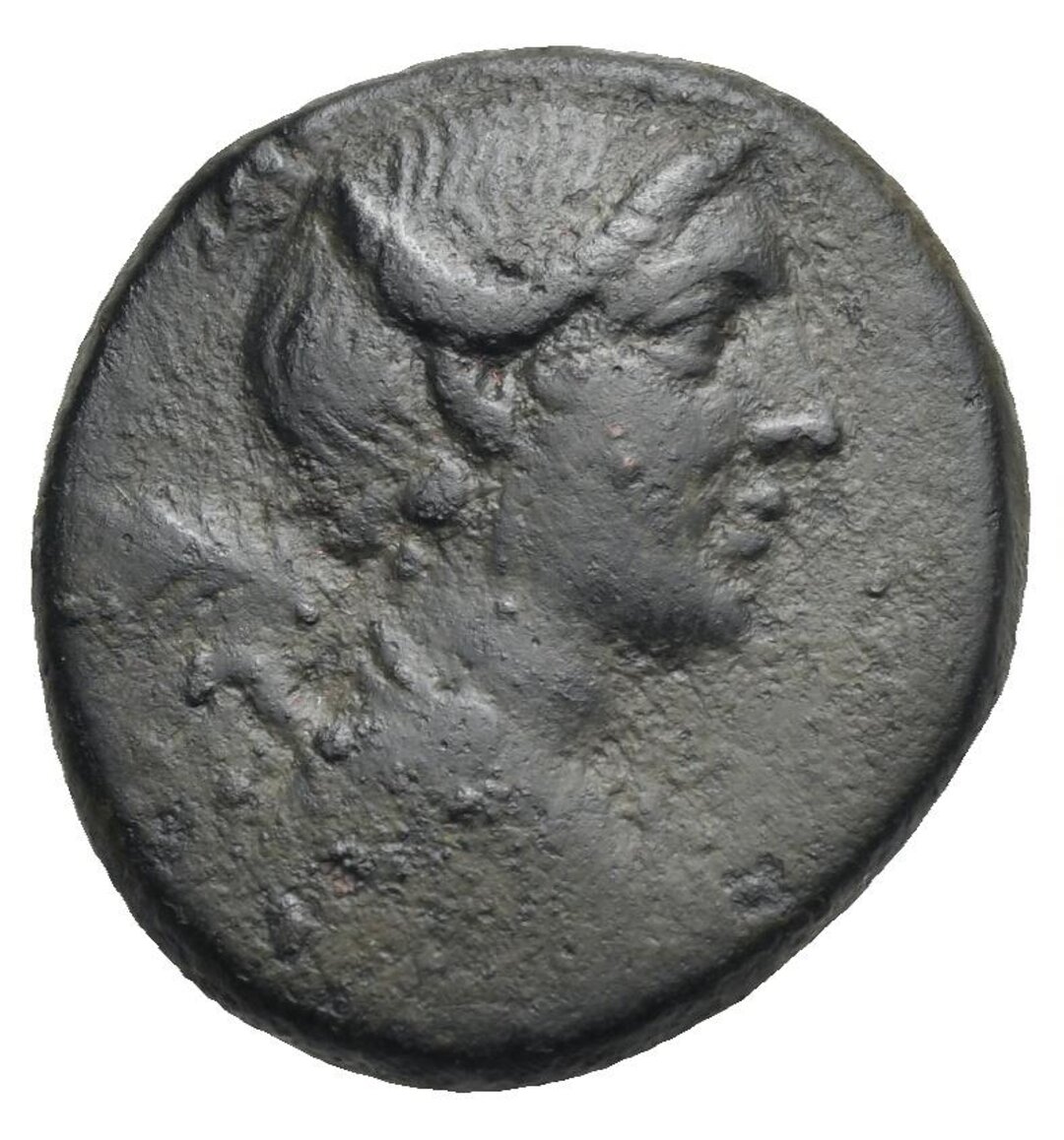 Dritto moneta