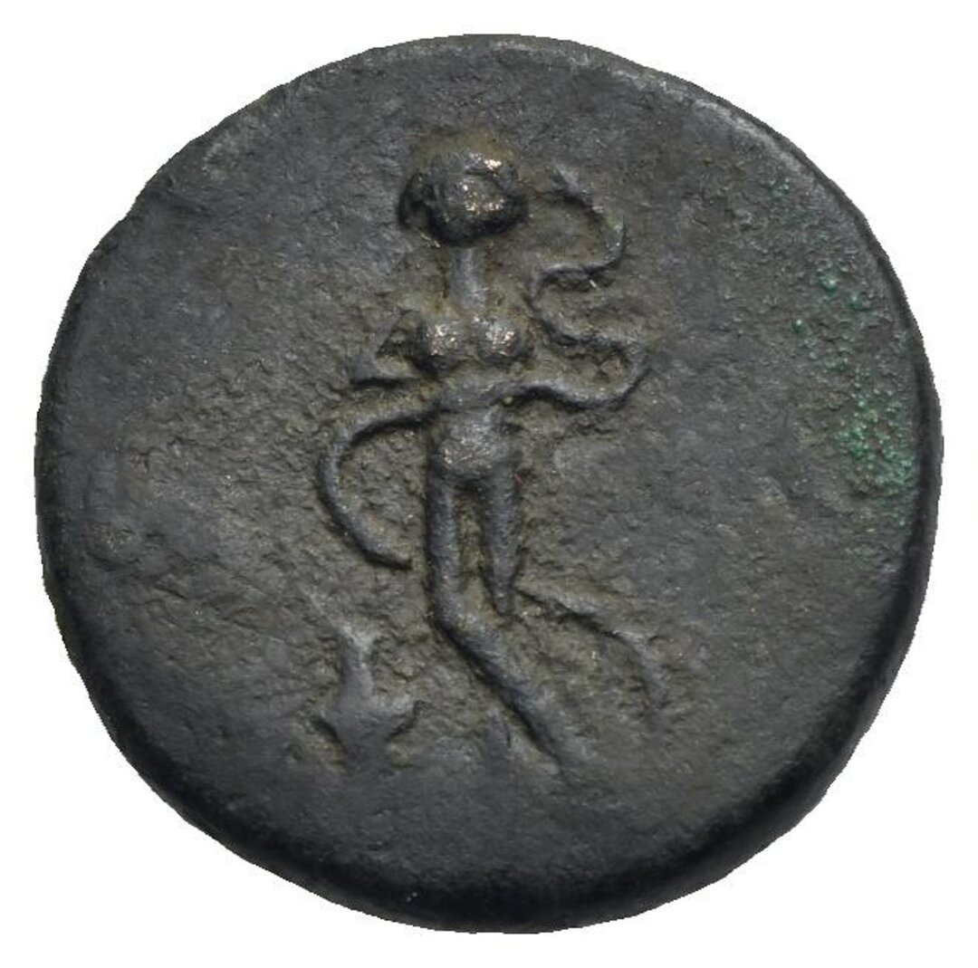 Dritto moneta