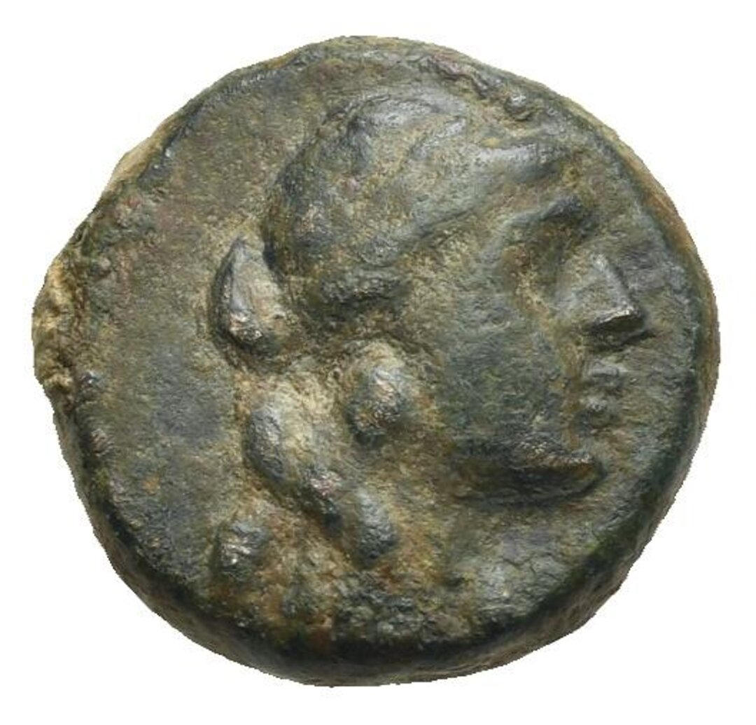 Dritto moneta