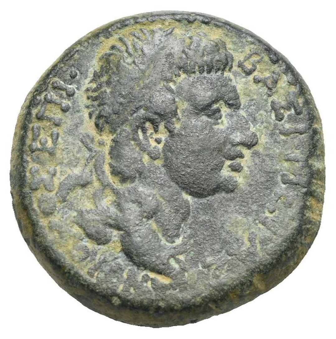Dritto moneta
