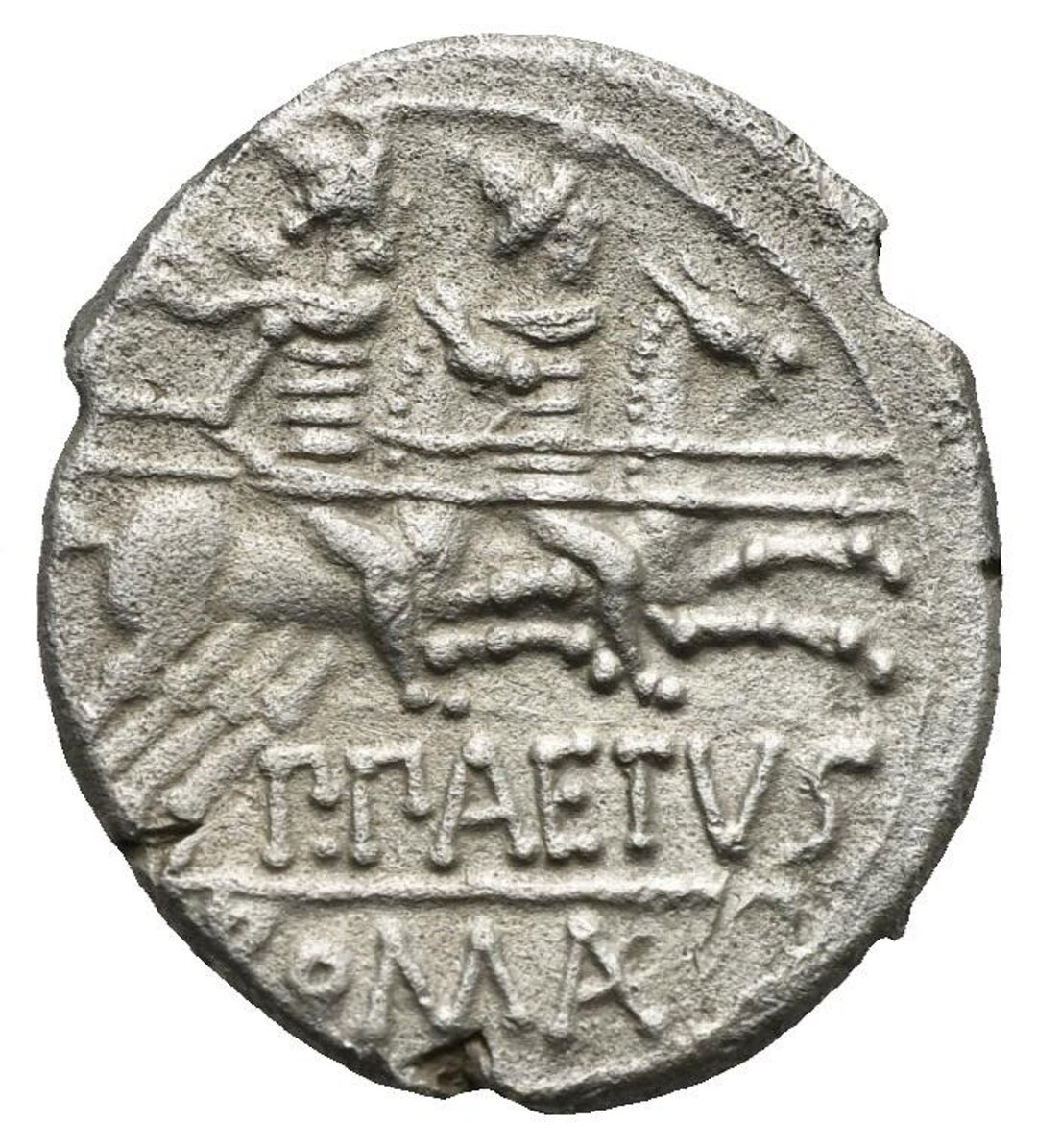 Rovescio moneta