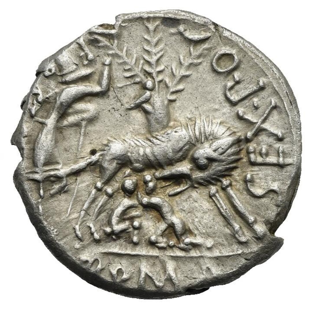 Rovescio moneta