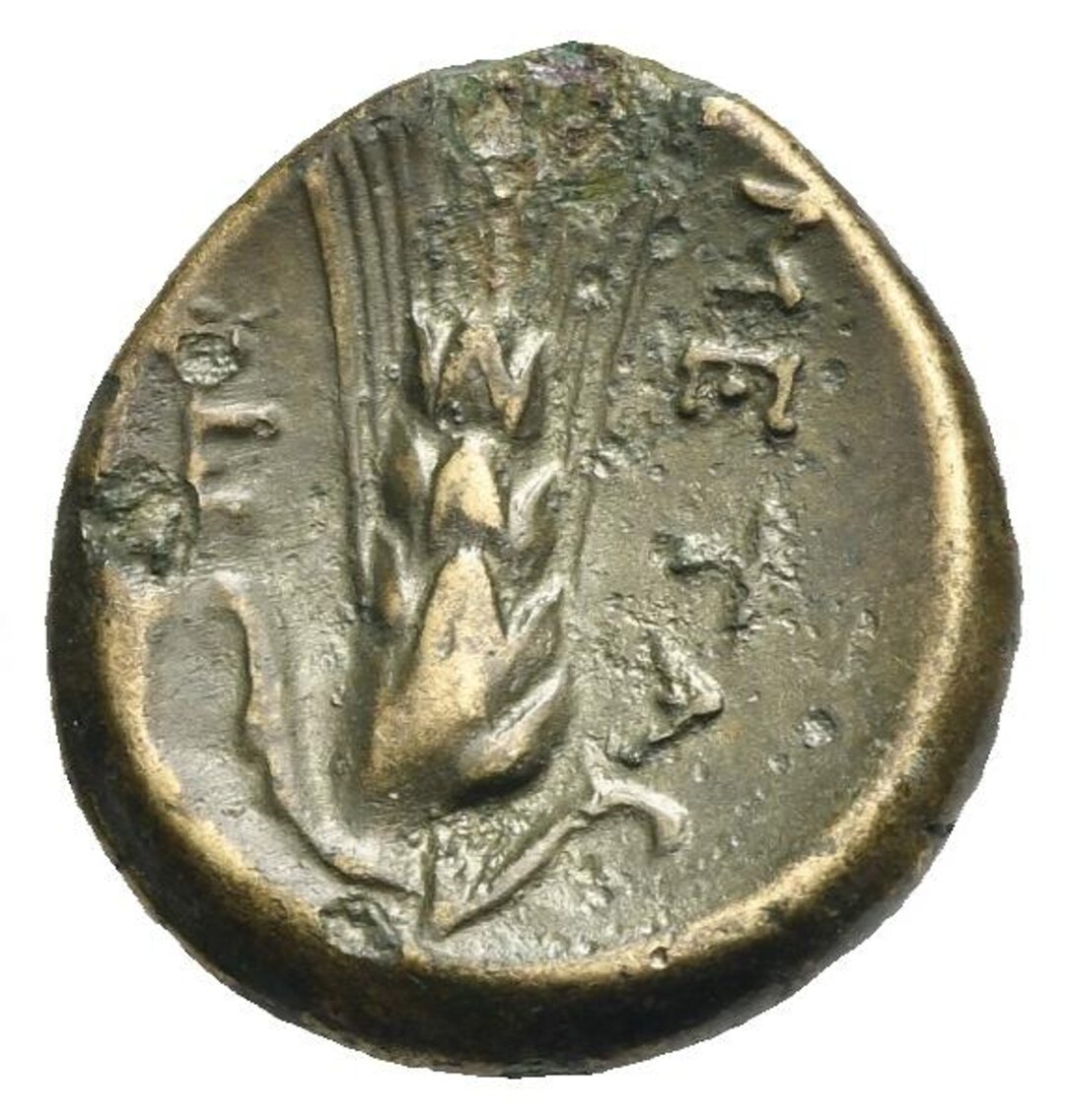 Rovescio moneta