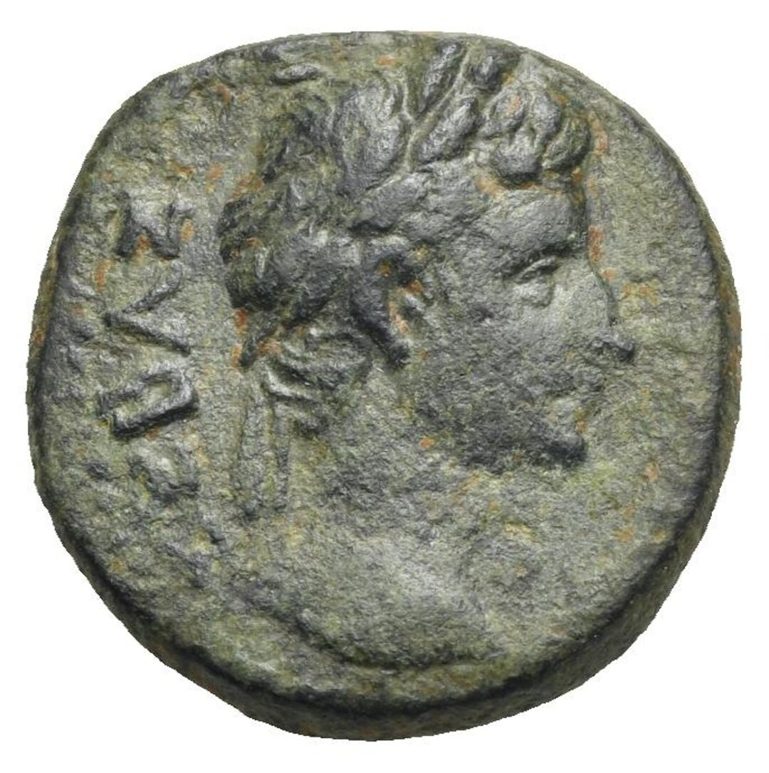 Dritto moneta