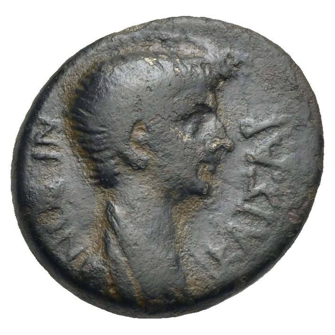 Dritto moneta