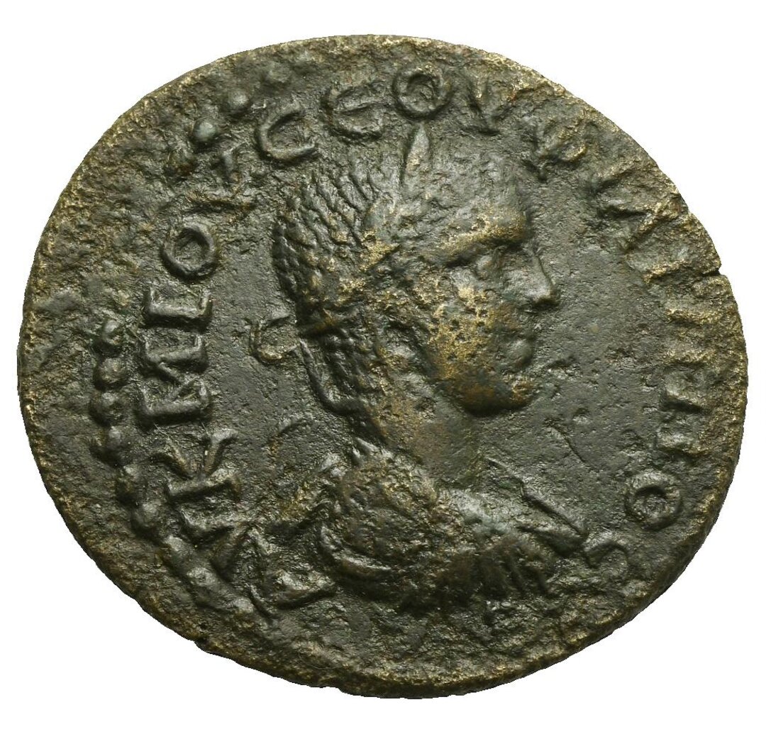 Dritto moneta