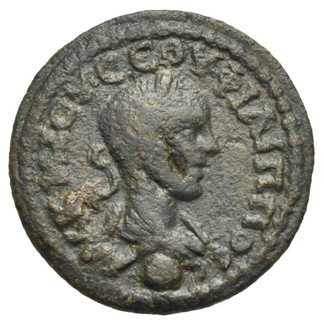 Dritto moneta