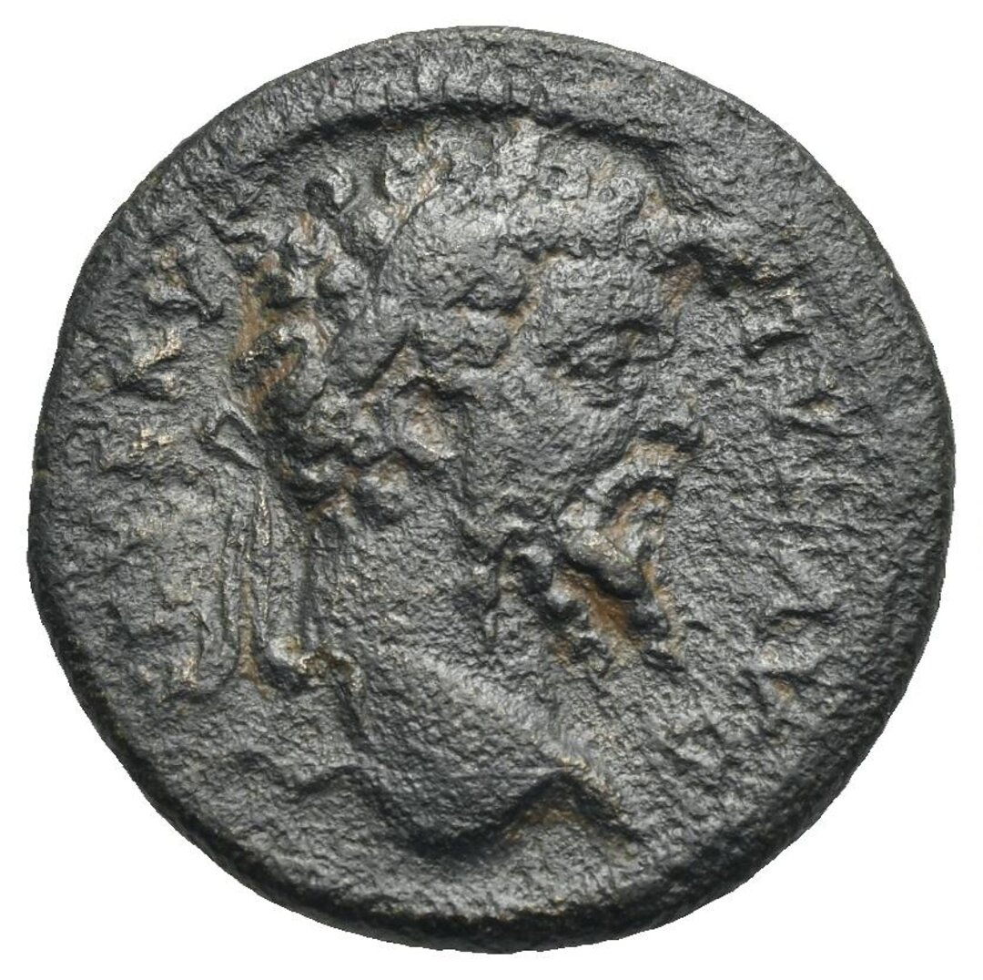 Dritto moneta