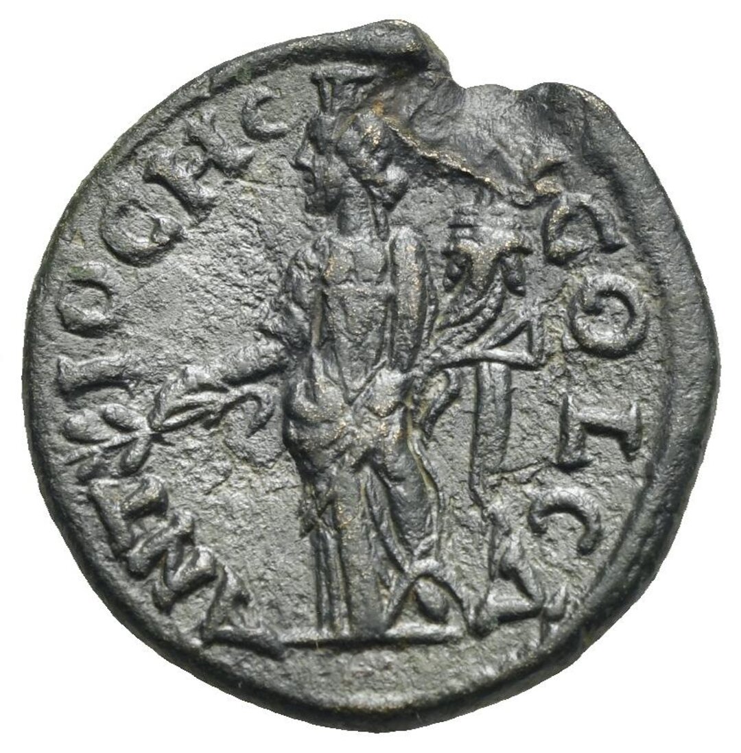 Rovescio moneta