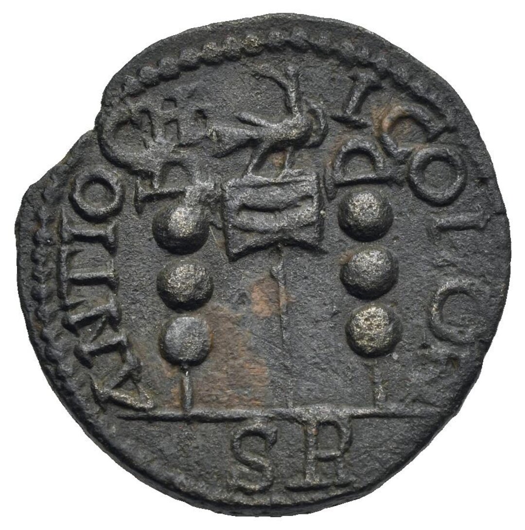 Rovescio moneta
