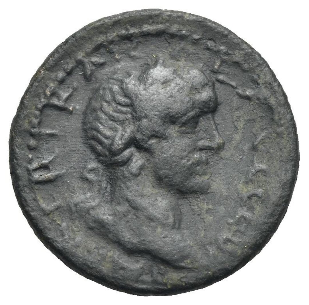 Dritto moneta