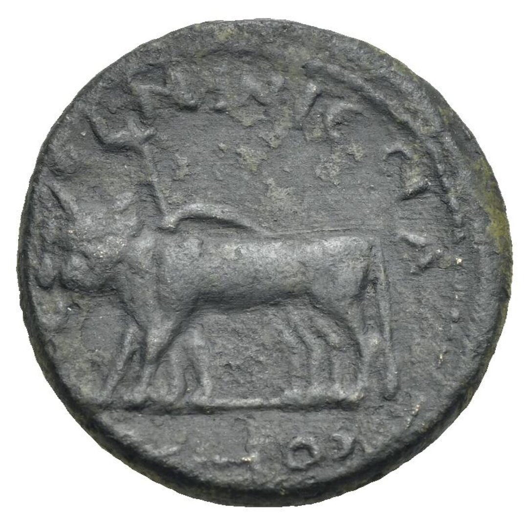 Rovescio moneta