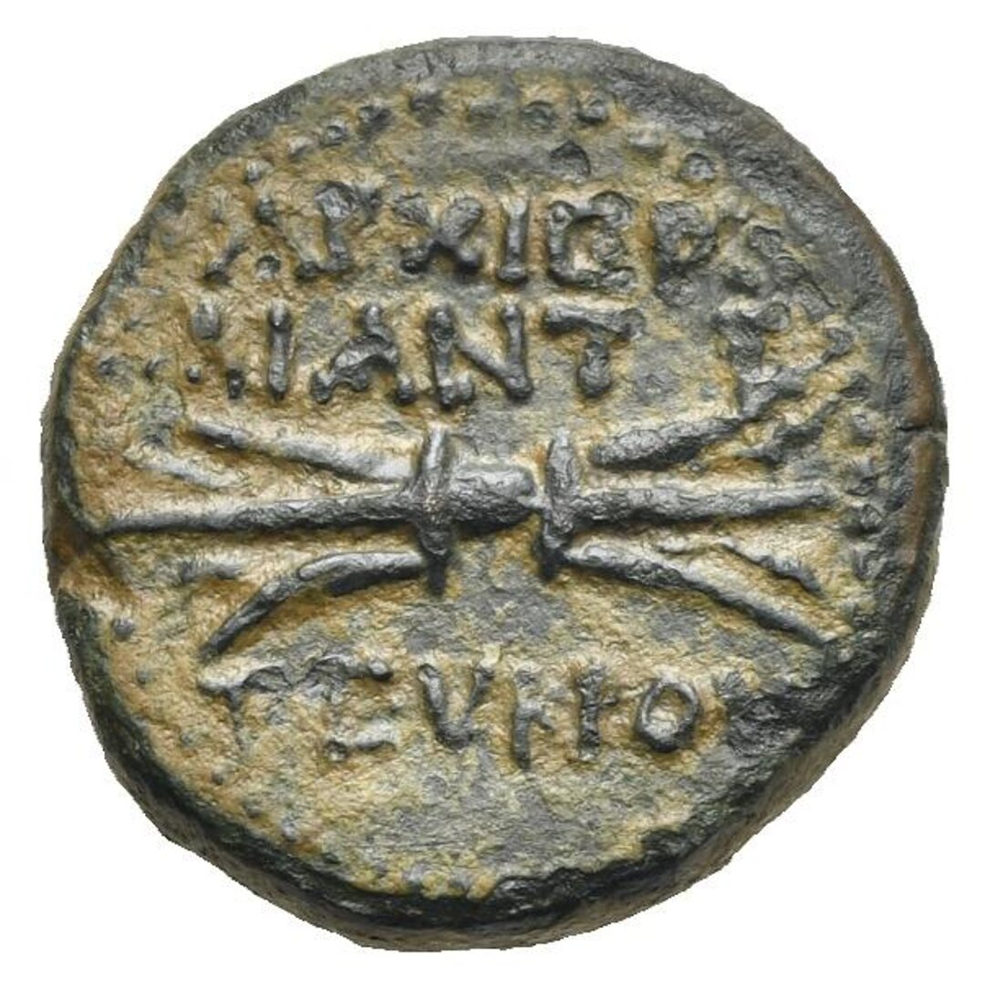 Rovescio moneta