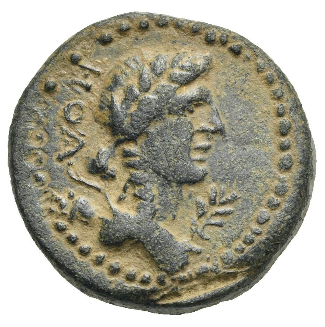 Dritto moneta