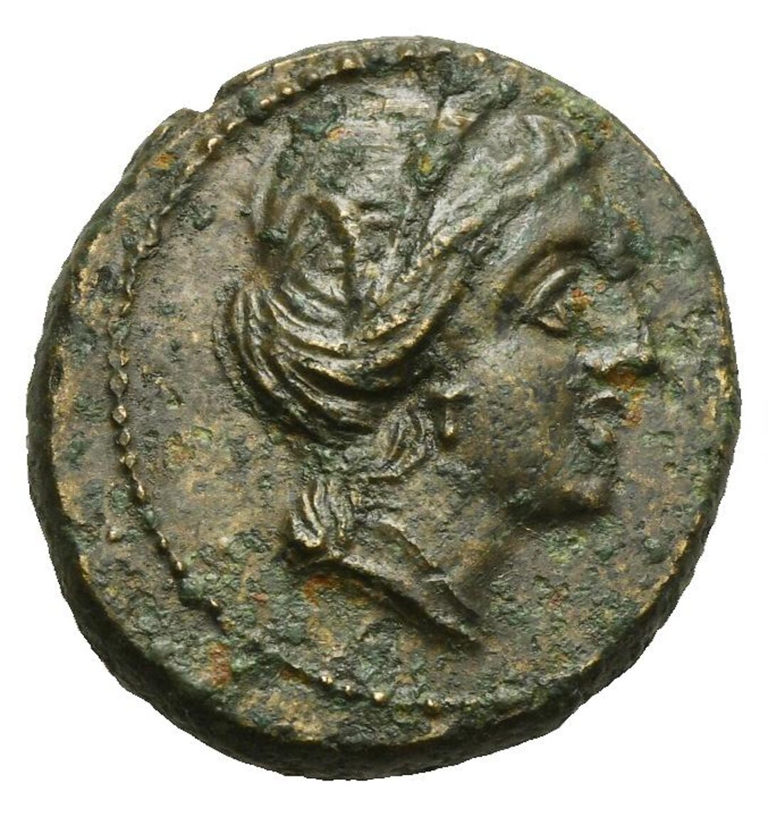 Dritto moneta