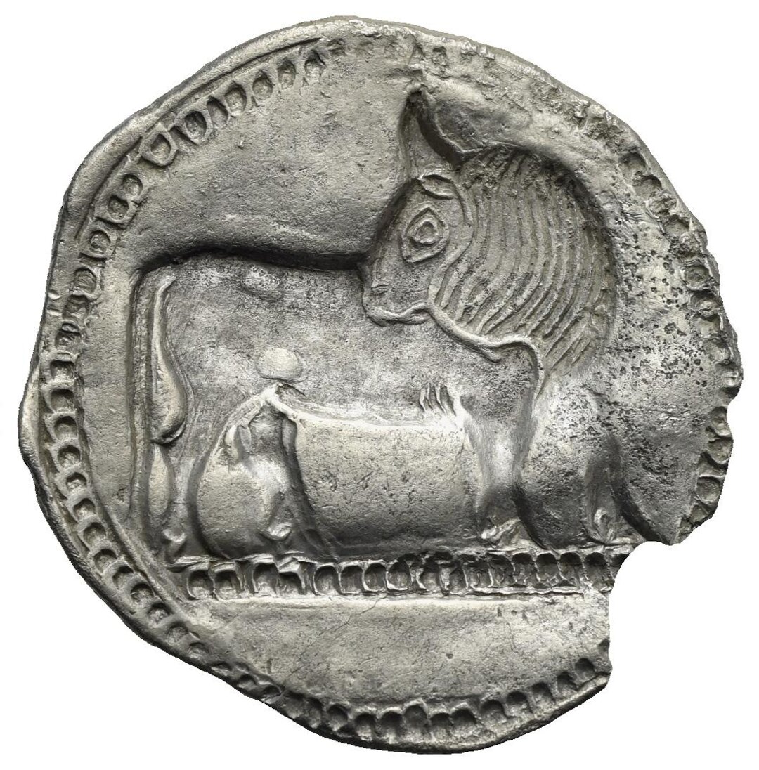 Rovescio moneta