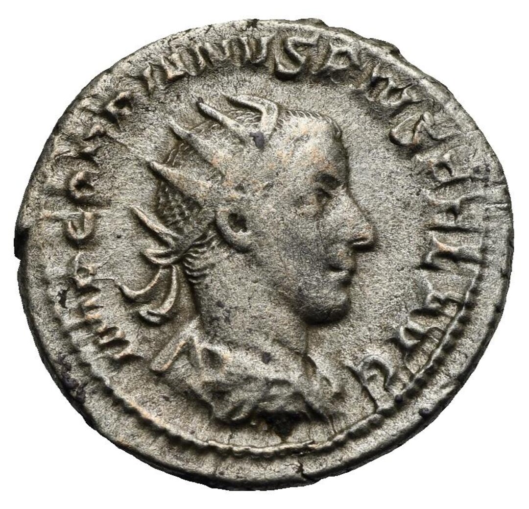 Dritto moneta