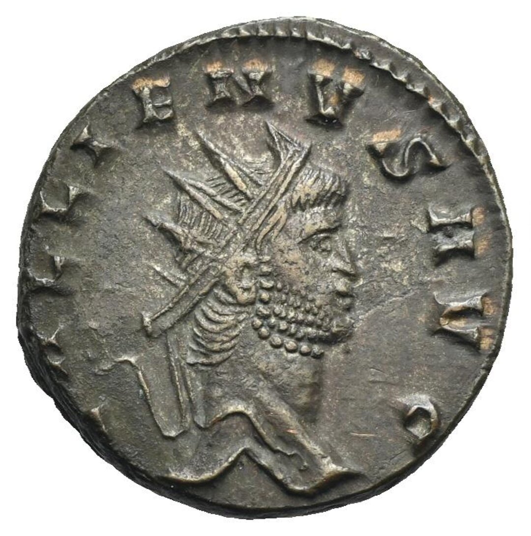Dritto moneta