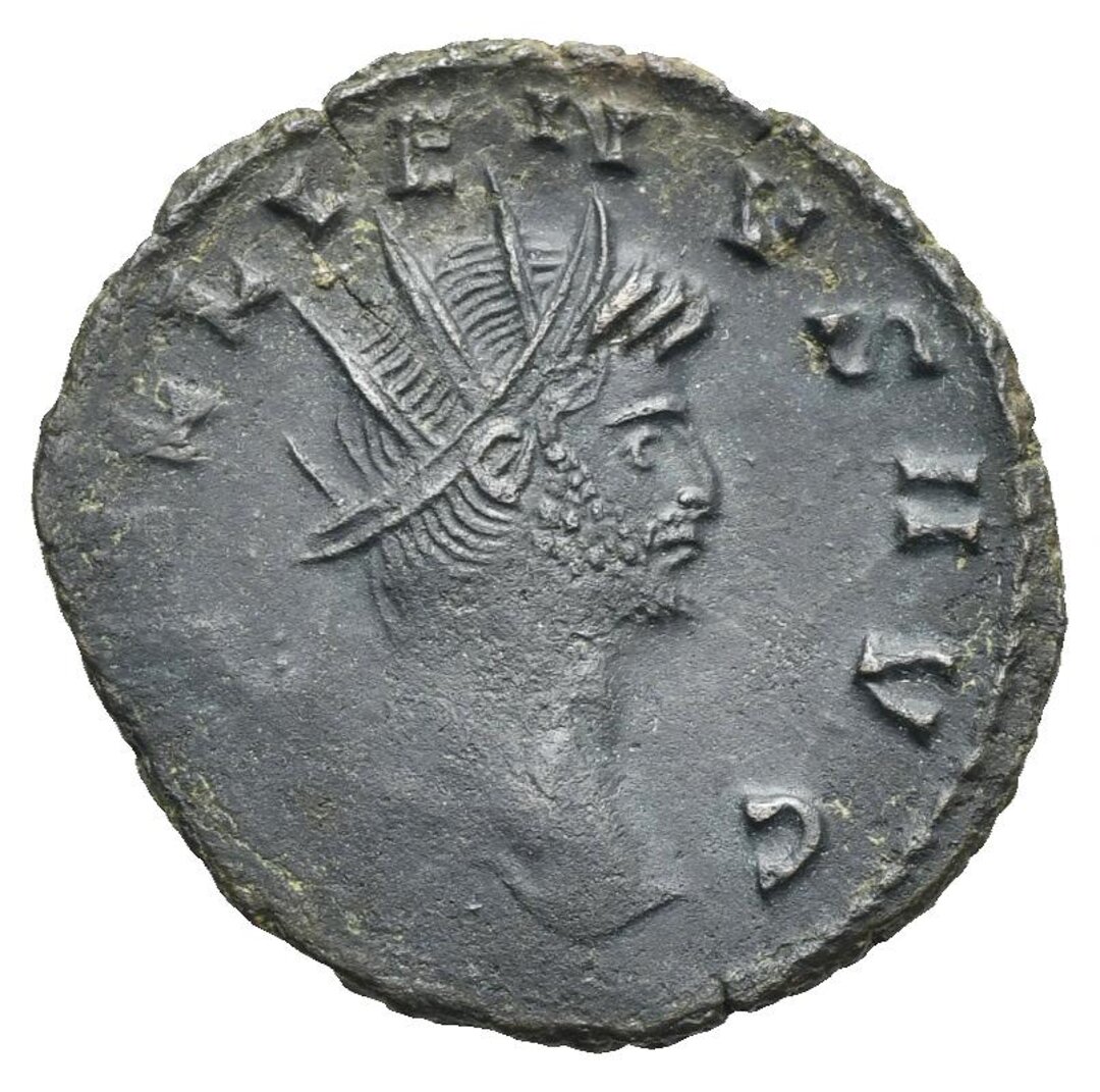 Dritto moneta