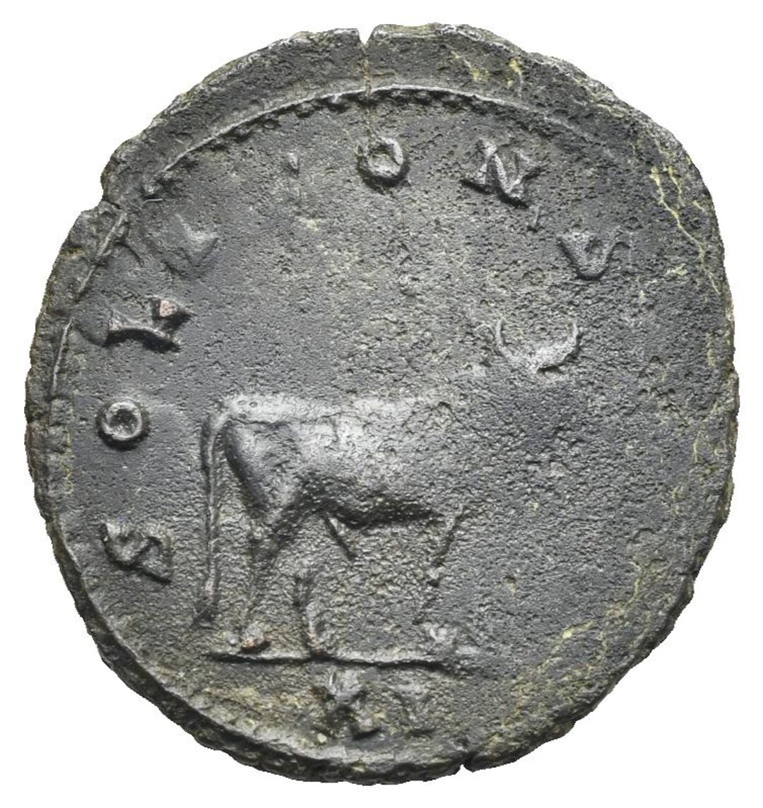 Rovescio moneta