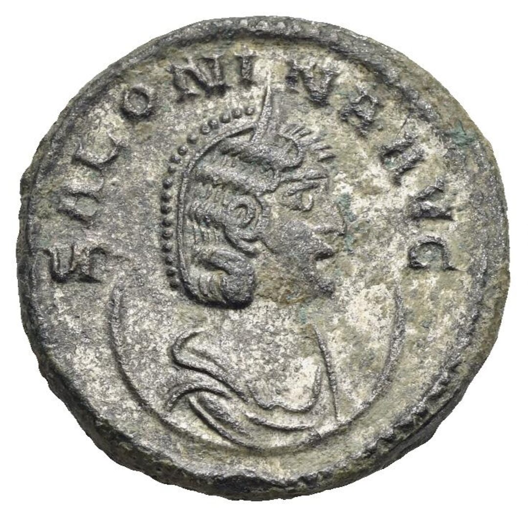 Dritto moneta