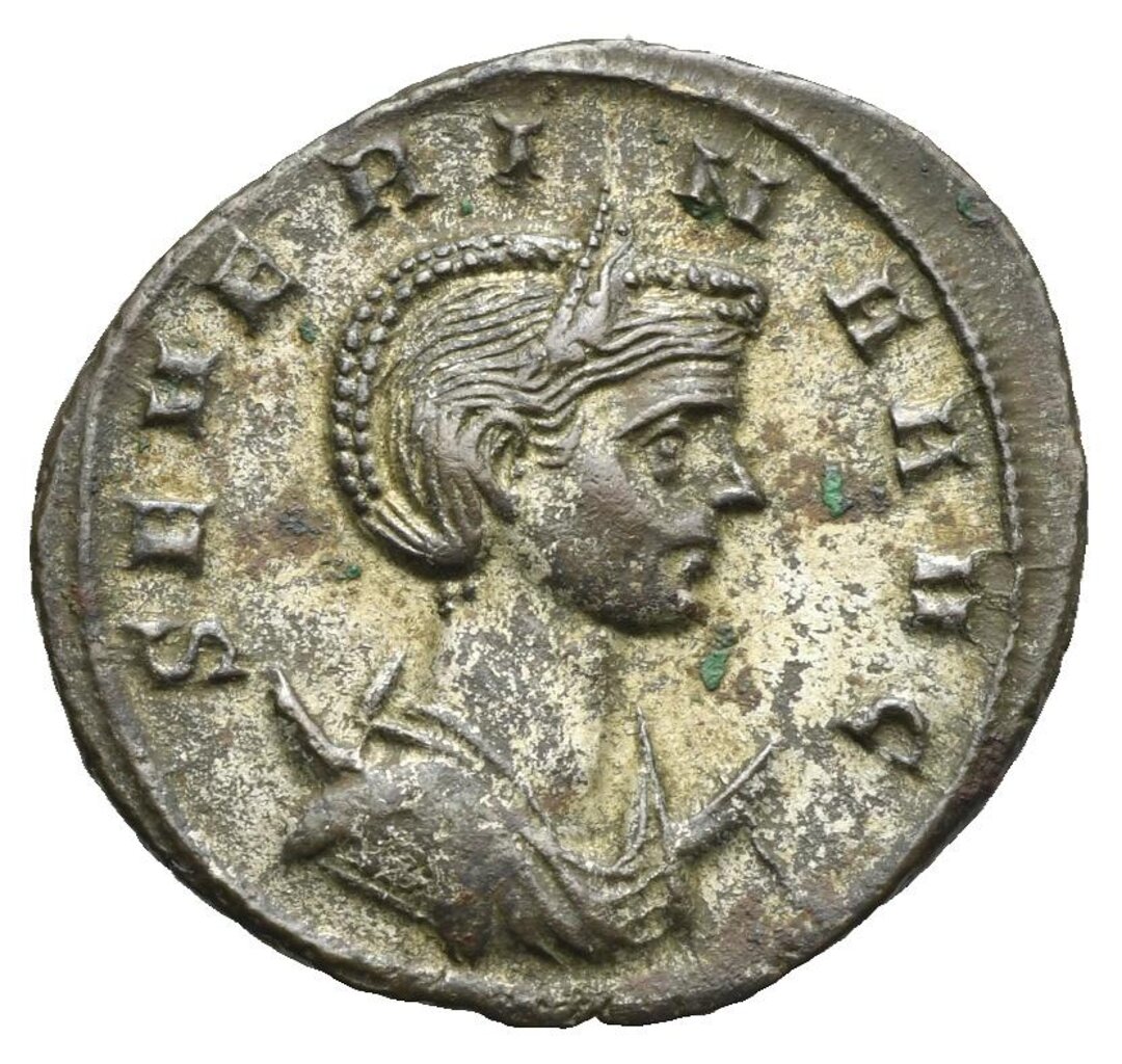 Dritto moneta