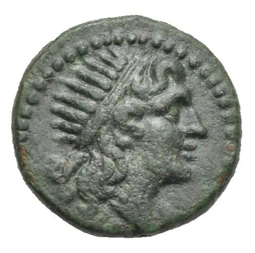 Dritto moneta