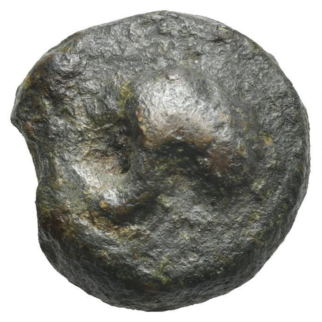 Dritto moneta