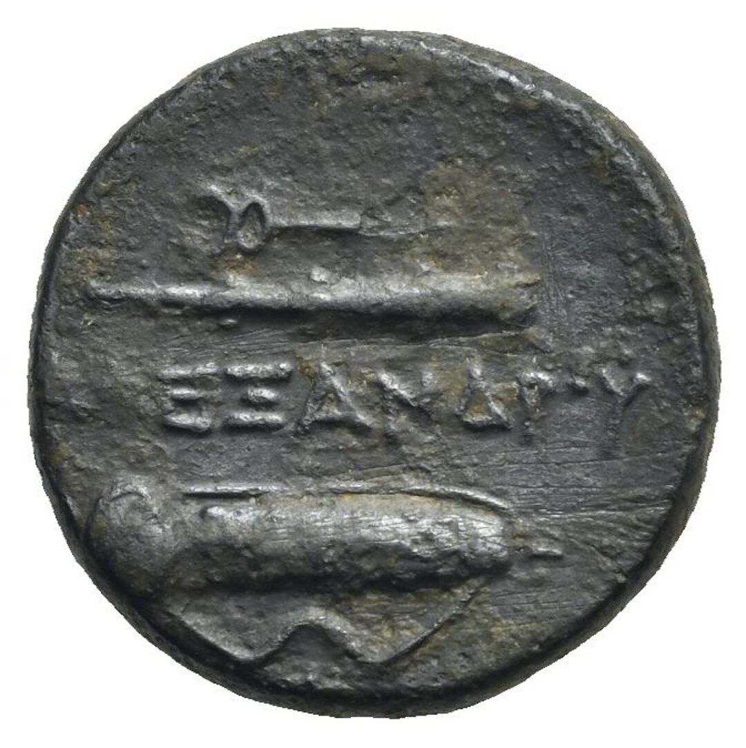 Rovescio moneta