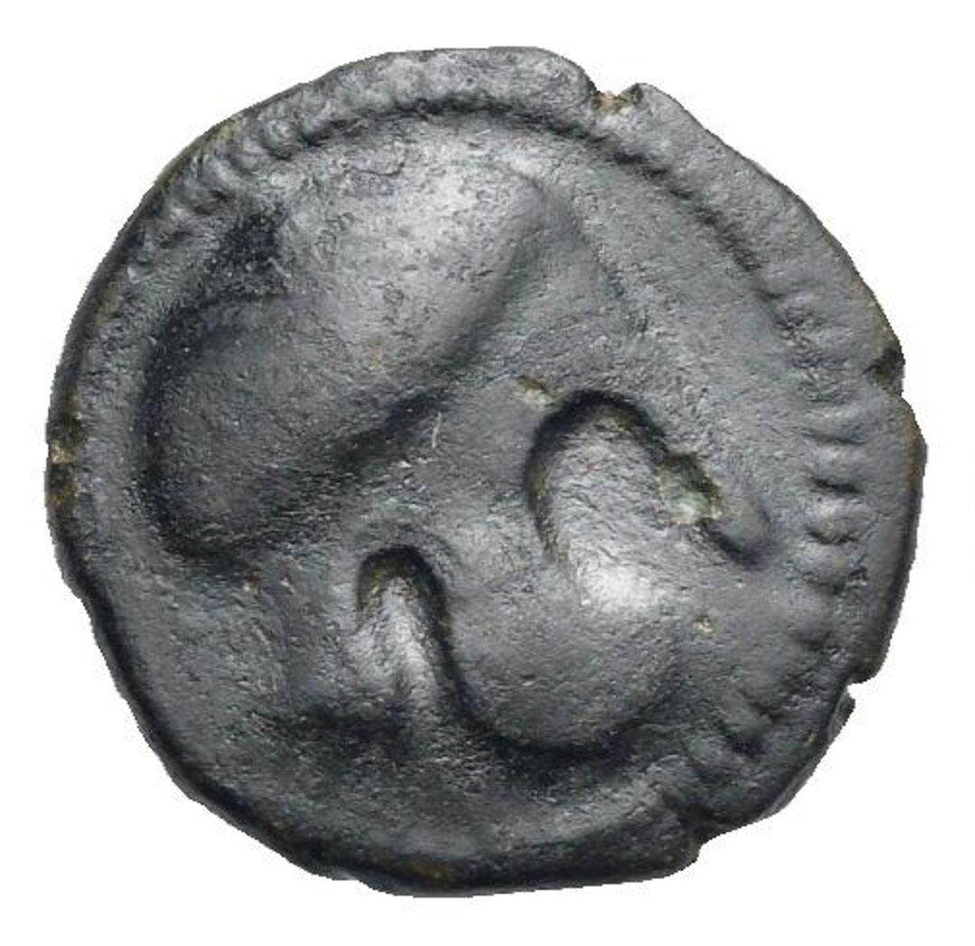 Dritto moneta