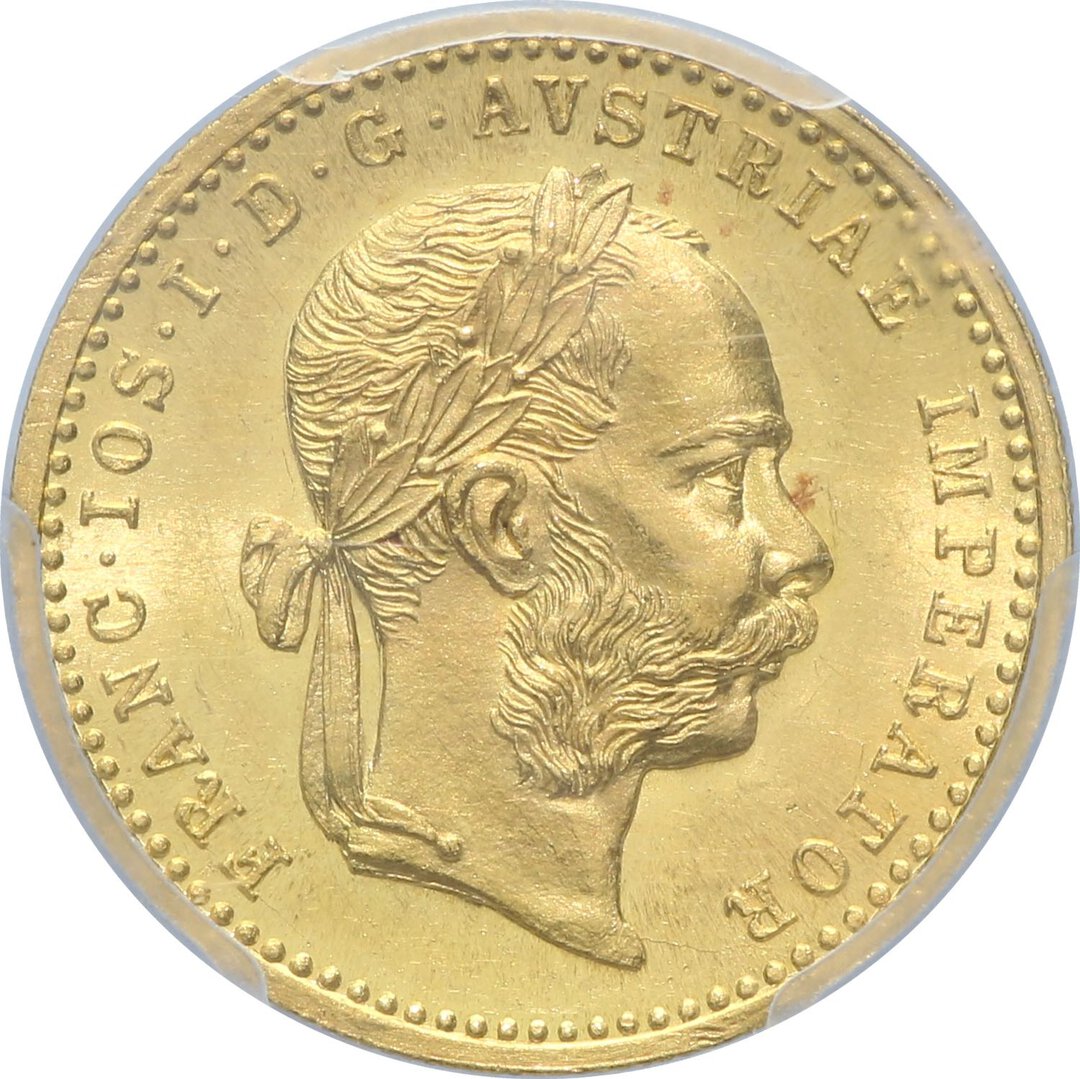 Dritto moneta