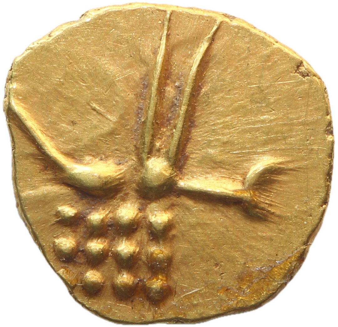 Dritto moneta