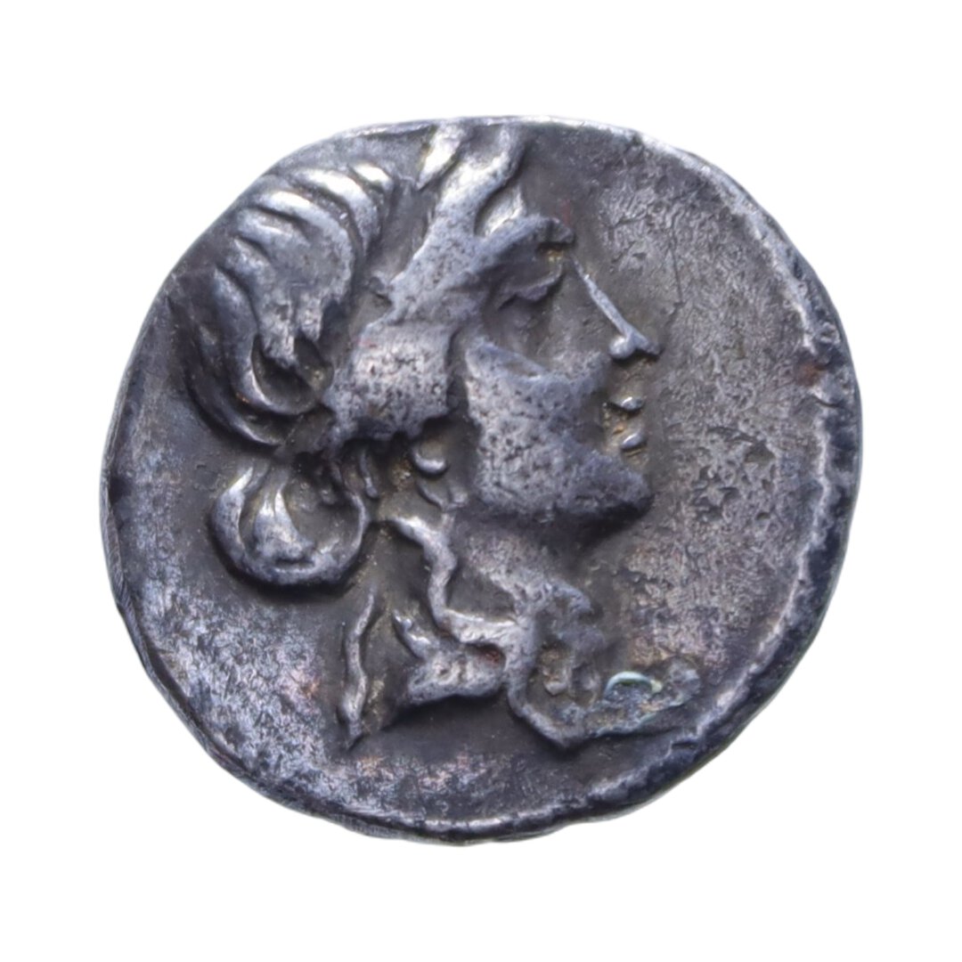 Dritto moneta