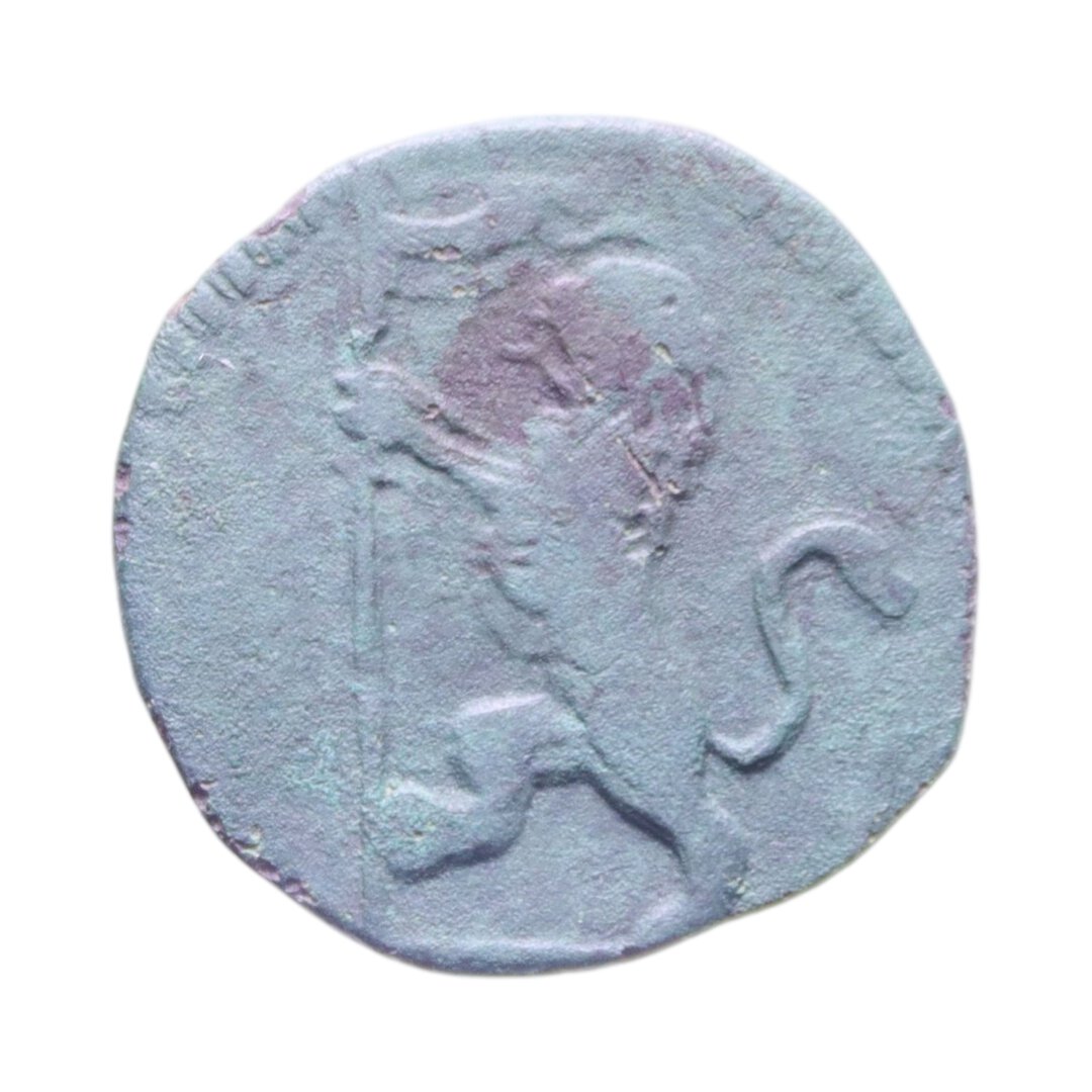 Dritto moneta