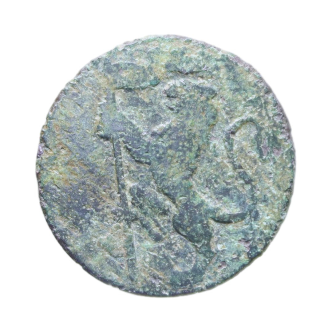 Dritto moneta