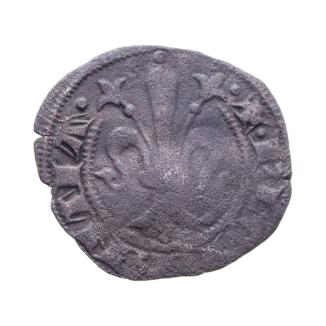 Dritto moneta