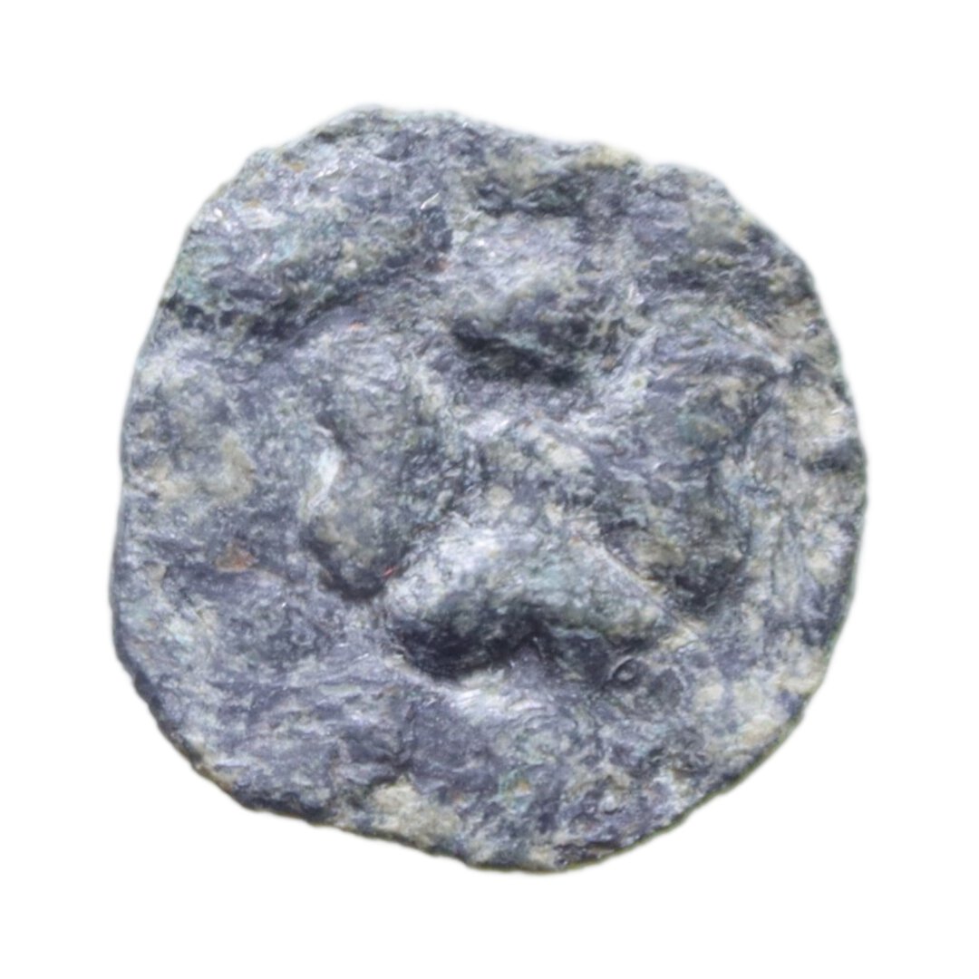 Dritto moneta