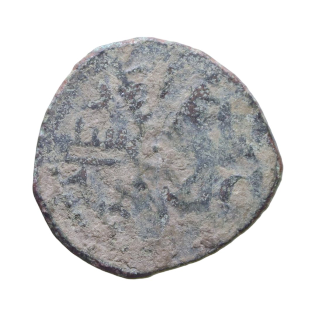 Dritto moneta