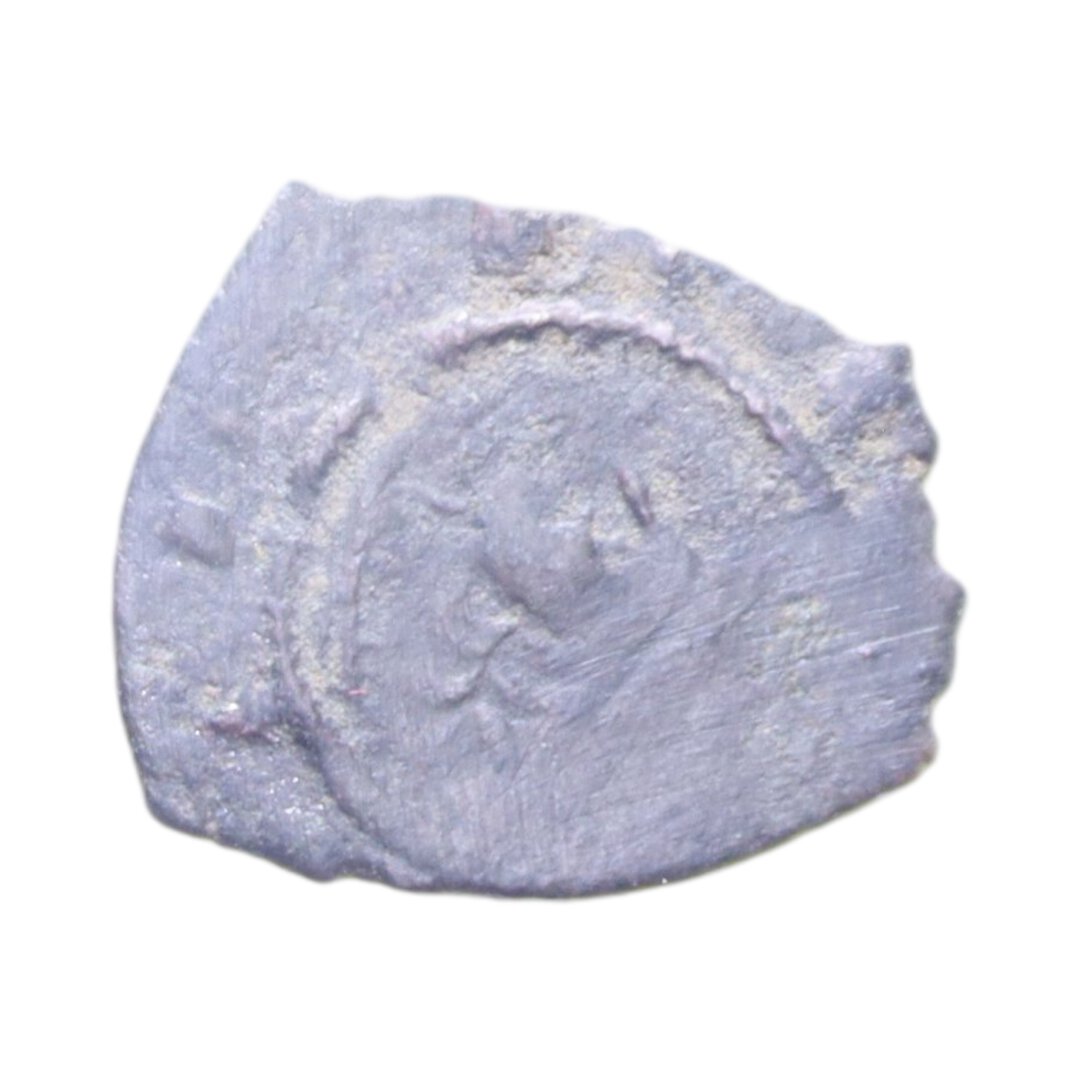 Dritto moneta
