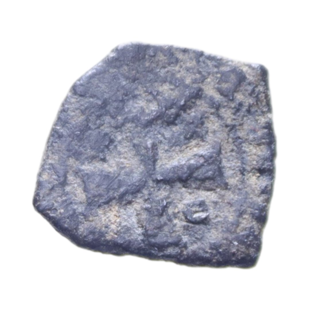 Dritto moneta